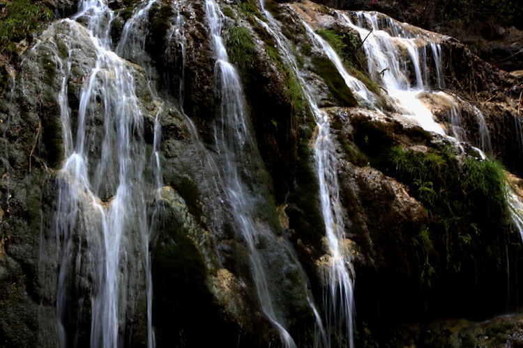 _MG_9819.jpg