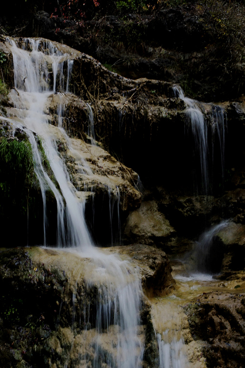 _MG_9823.jpg