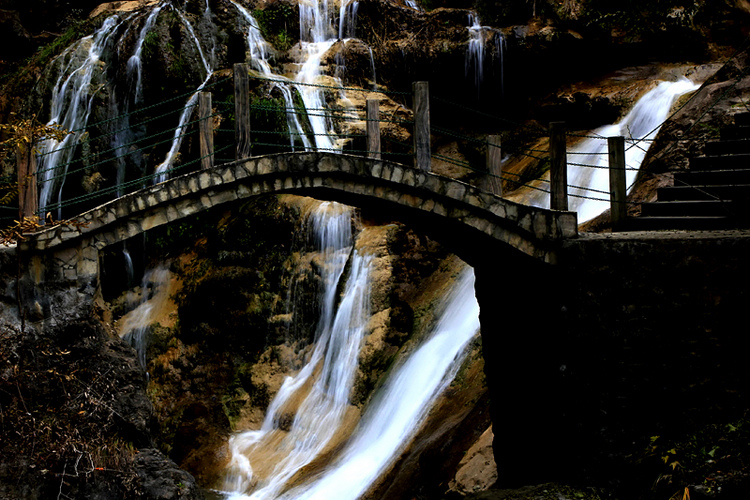 _MG_9825.jpg