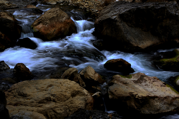 _MG_9867.jpg