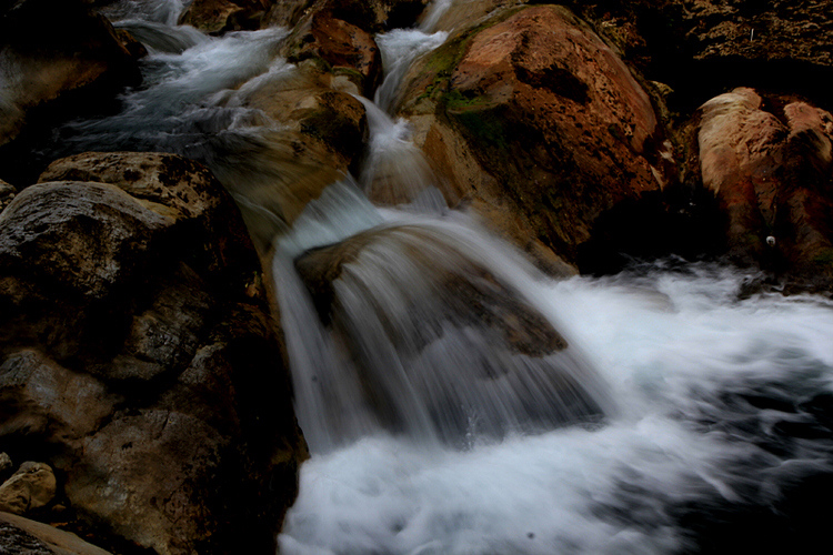 _MG_9877.jpg
