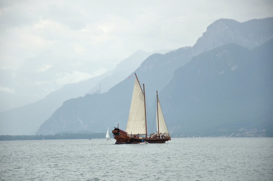 DSC_0768.jpg
