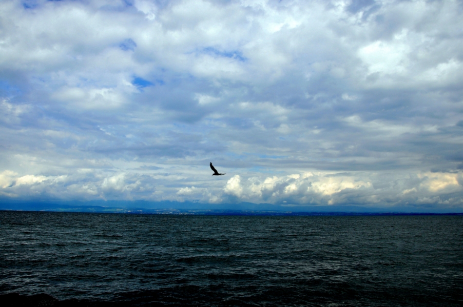 DSC_0938.jpg