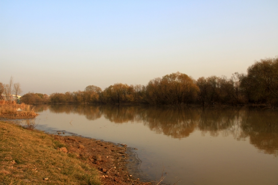 浐灞秋景 254.jpg