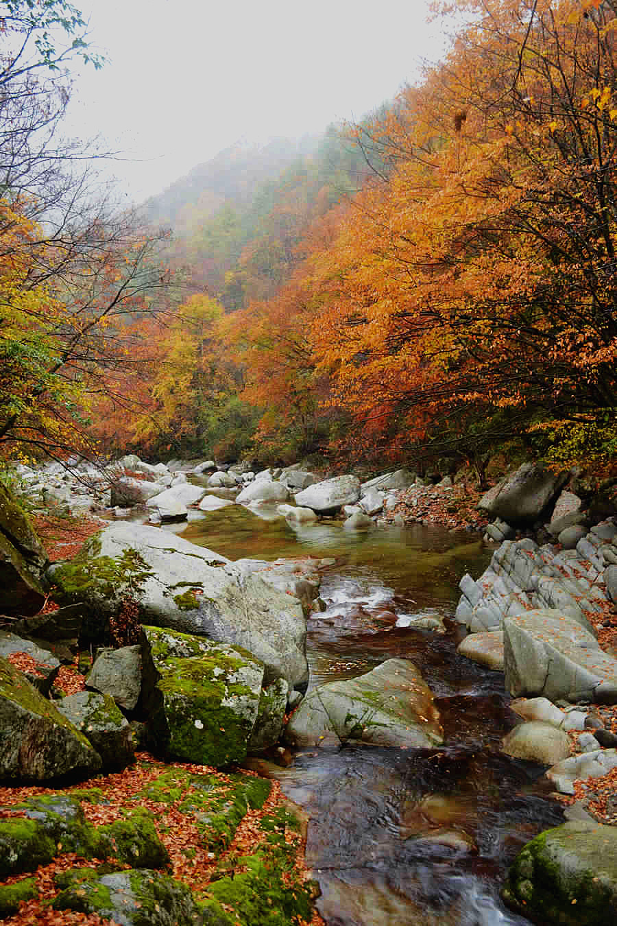DSC_0311_副本.jpg