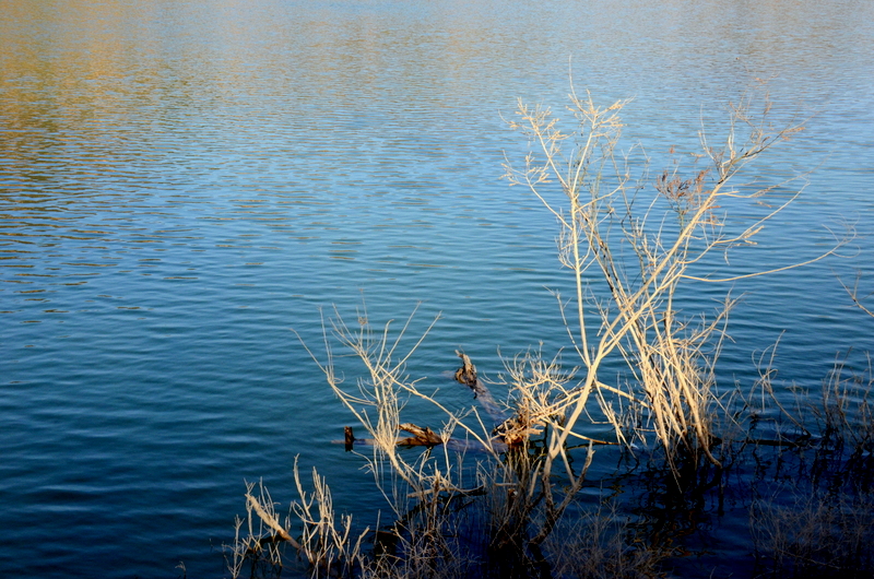 DSC_1548.jpg