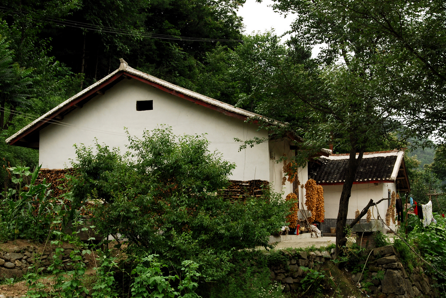 DSC_0019.JPG