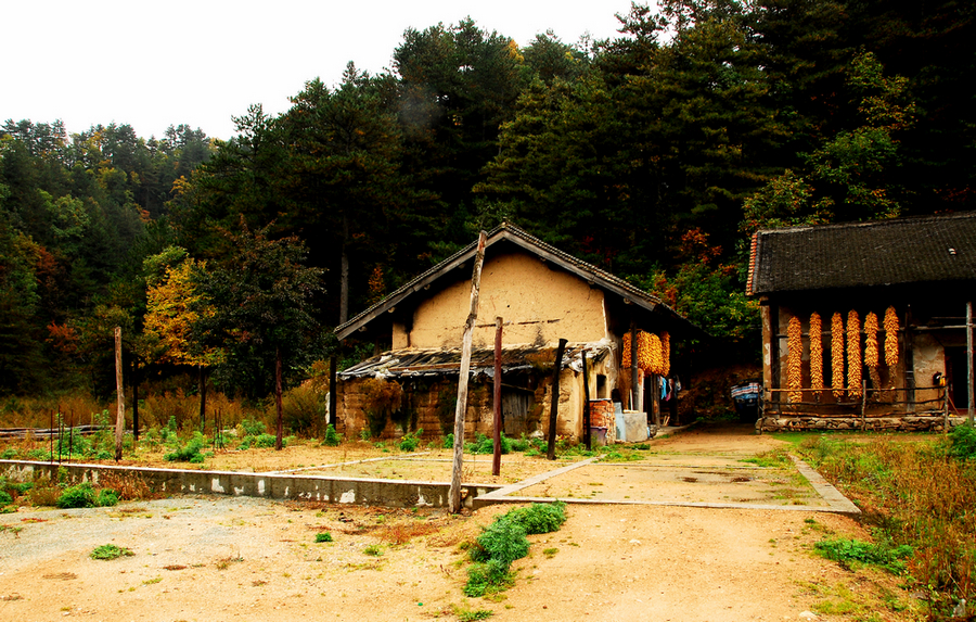 DSC_0179.JPG