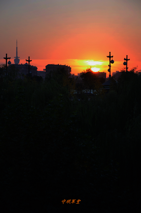 DSC_0040.jpg
