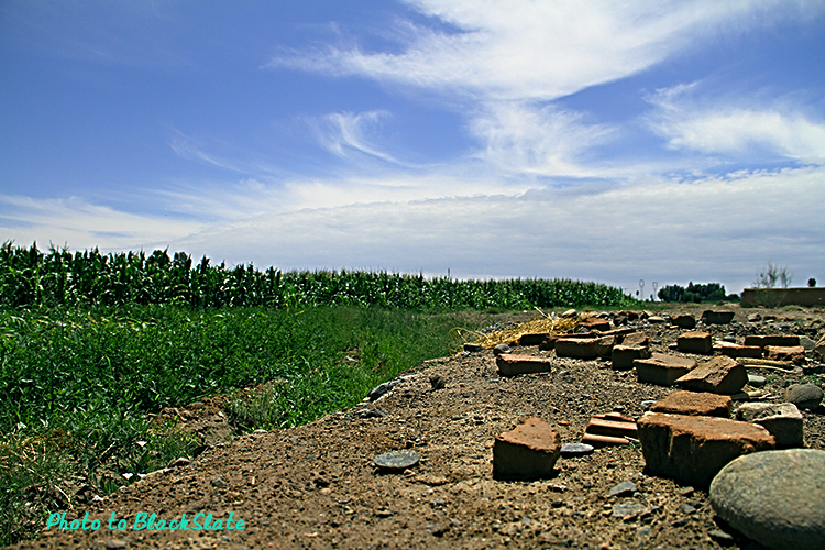 08.jpg