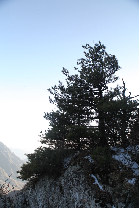 IMG_2386_1.JPG
