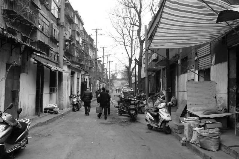 DSC06800.JPG