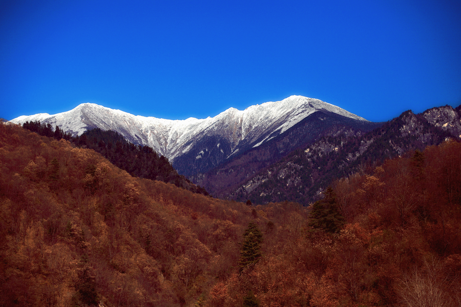 IMG_0385副本.jpg