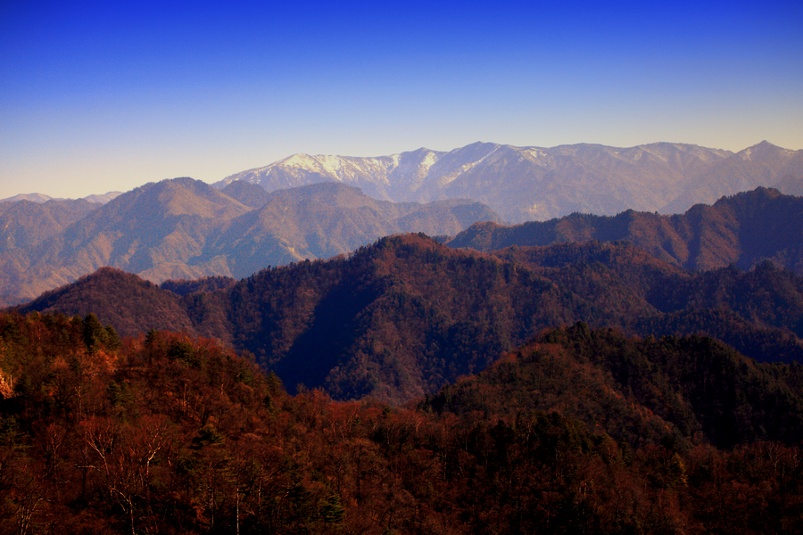 IMG_0391副本.jpg