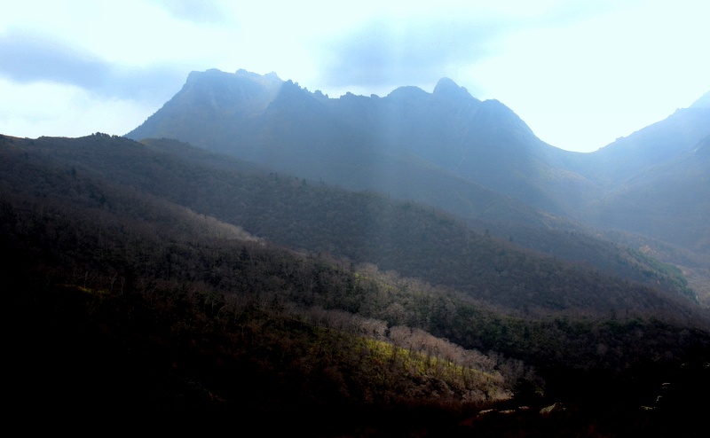 DSC_0415.jpg