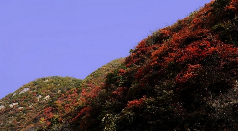 DSC_0226.jpg