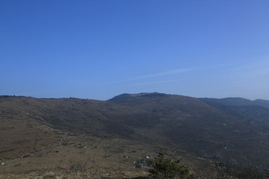 KY4A2678.JPG