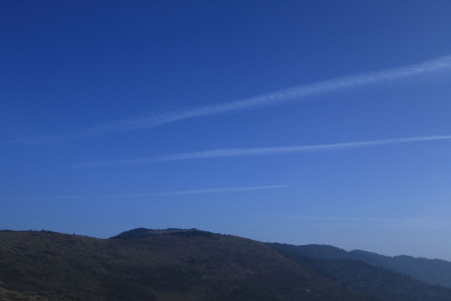 KY4A2669.JPG