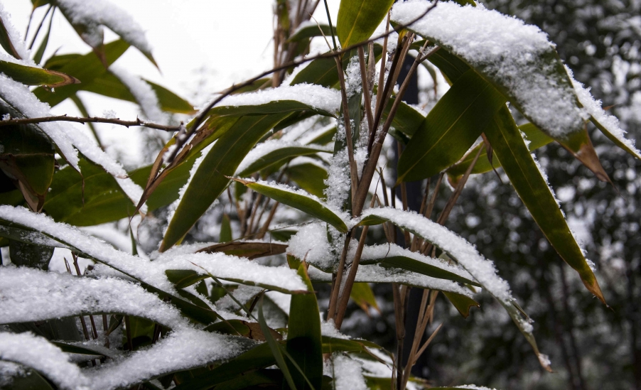 _DSC0614.jpg