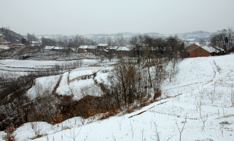 DSC_1817.jpg