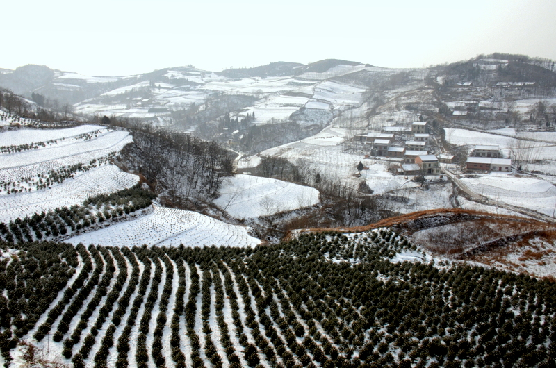 DSC_1845.jpg