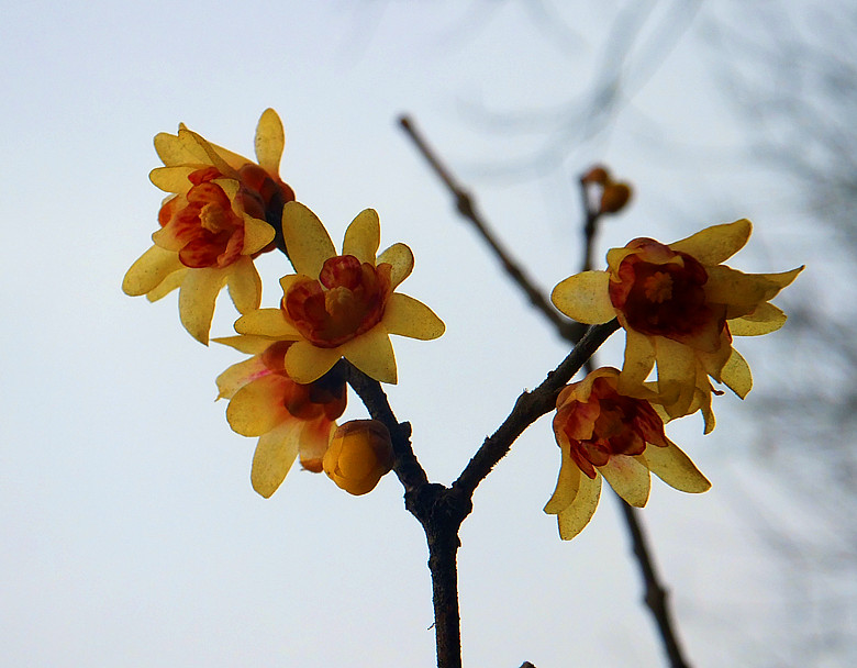 DSCF21482.jpg