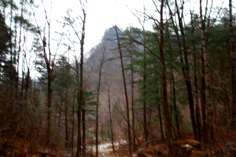 IMG_0300_conew1.jpg
