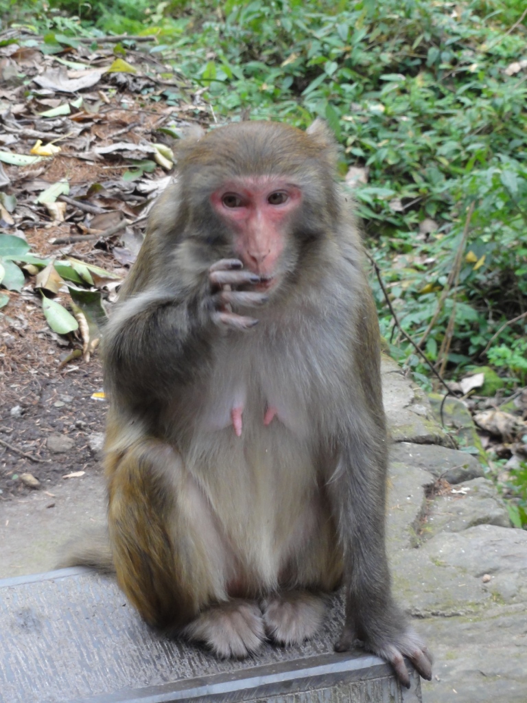 DSC02748.JPG