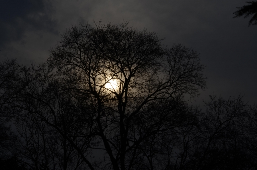 DSC_0439.JPG