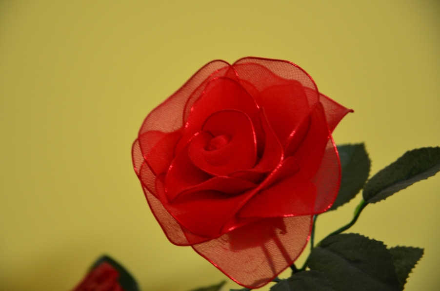 DSC_0656.JPG