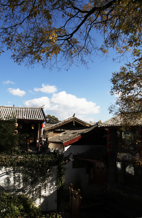 IMG_6924.JPG