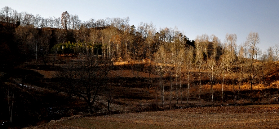 DSC_0070.jpg