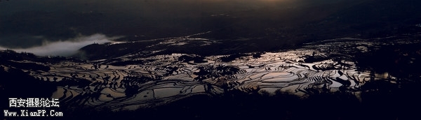 4056350.jpg