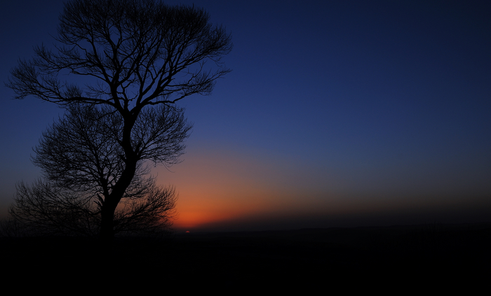 DSC_1530.JPG
