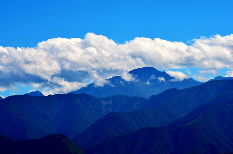 DSC_1356.jpg