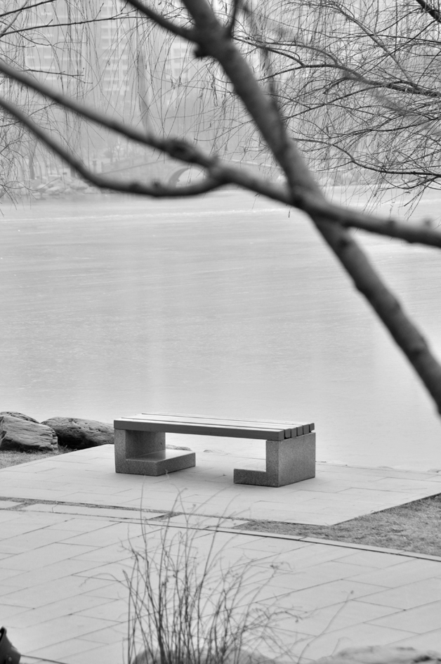 DSC_0198.JPG