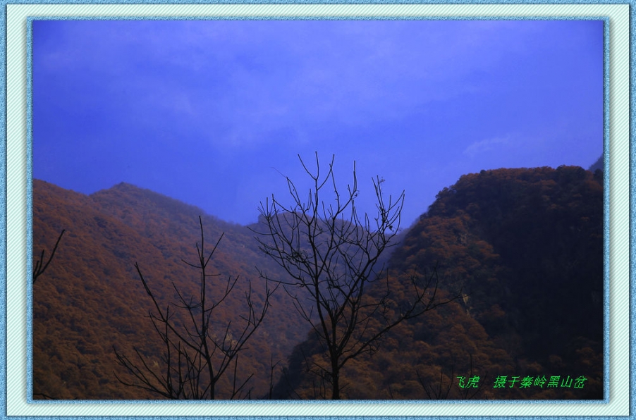 KY4A0139.JPG