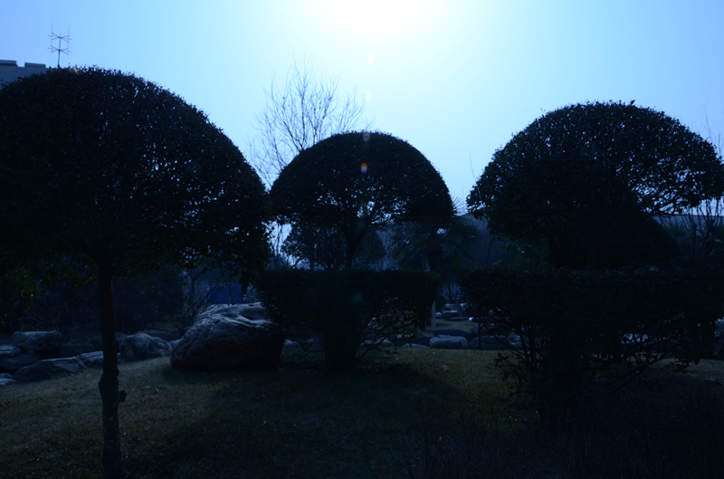 0LH_0074_副本.jpg