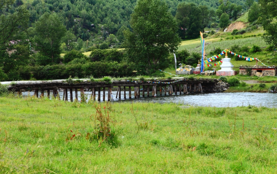 DPP_0209.JPG