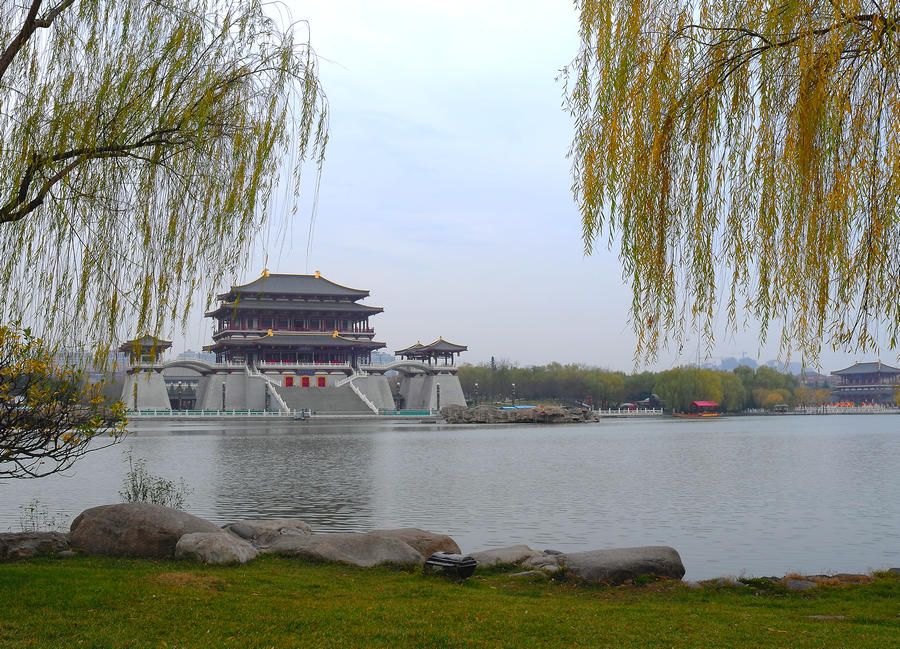 L1024474.jpg