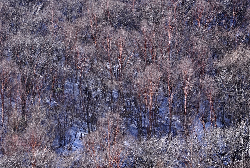 DSC_0283.jpg