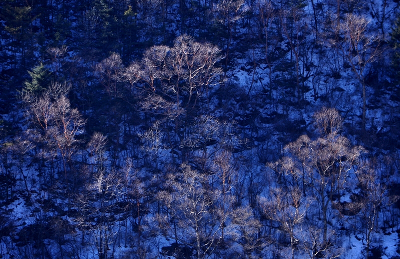 DSC_0332.jpg