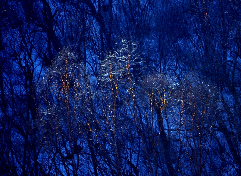 DSC_0415.jpg