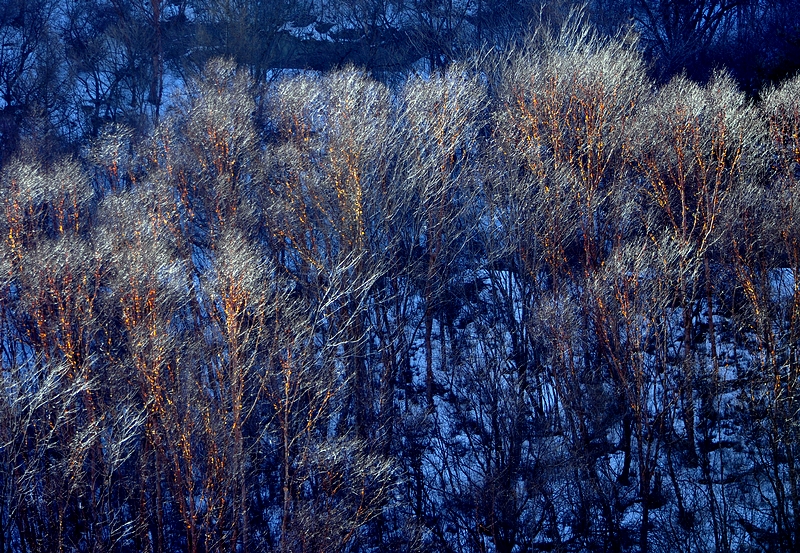 DSC_0432.jpg