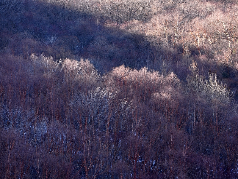 DSC_0474.jpg