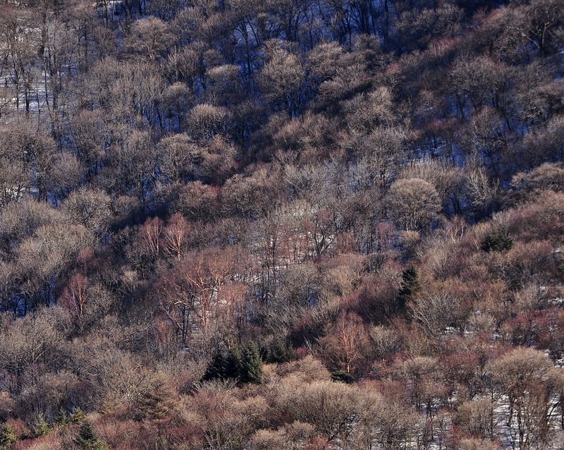 DSC_0476.jpg