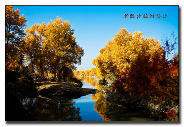 未标题-74.jpg