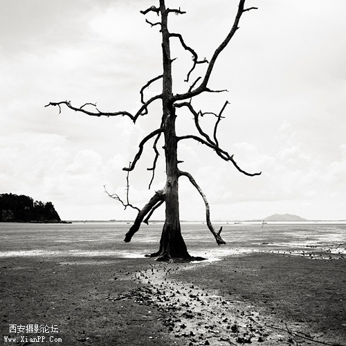 1009210807dd57a75d78a7ba05.jpg