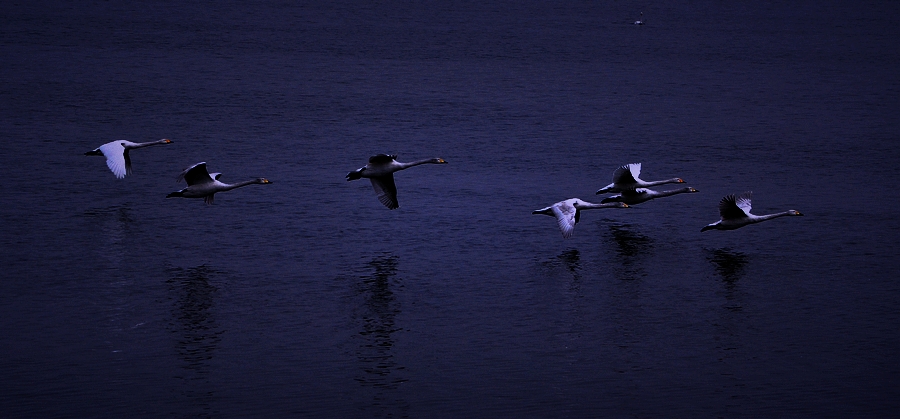 DSC_0838.jpg