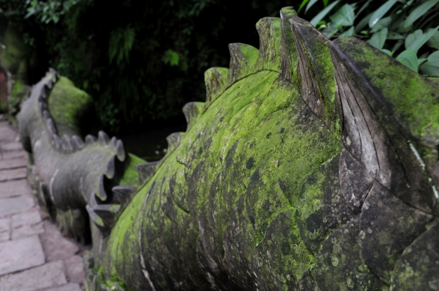 DSC_0936.JPG